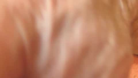 Snapshot of zevioo77 chatting on November 2025 11:58:01 AM zevioo77 online show from November 2025 11:58:01 AM