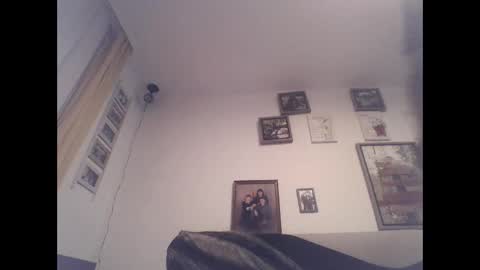 Zippi online show from September 2025 04:51:02 PM