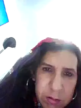 Cameron puppy online show from January 2025 04:17:02 AM