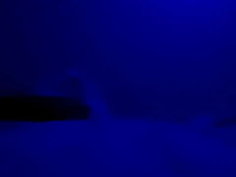 Snapshot of Blkstylion chatting on November 2025 08:22:01 PM Blkstylion online show from November 2025 08:22:01 PM