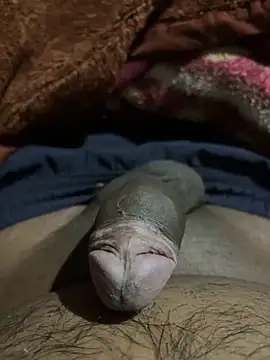 Snapshot of delhiboyz1 chatting on February 2025 07:49:01 PM delhiboyz1 online show from February 2025 07:49:01 PM