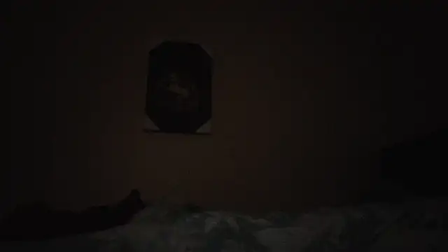 hailzeffn online show from November 2025 02:10:02 AM