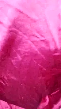 Snapshot of Kitty_Doll69 chatting on November 2025 07:46:02 PM Kitty Doll69 online show from November 2025 07:46:02 PM