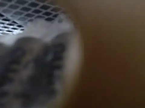 Lovensetest online show from October 2025 09:10:01 AM