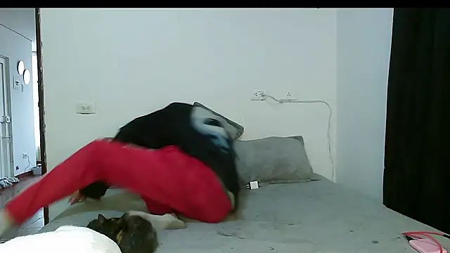 Dan Yagami online show from March 2025 06:12:01 PM