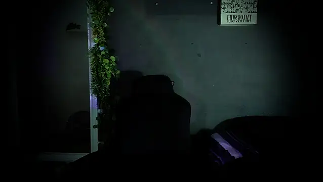 Snapshot of newjeff chatting on November 2025 11:25:02 AM newjeff online show from November 2025 11:25:02 AM