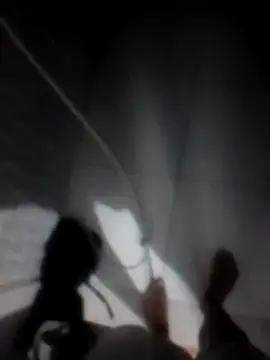 betinhodelas online show from November 2025 05:11:01 AM