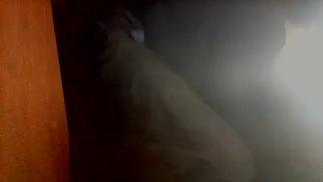 Snapshot of nice6incs chatting on November 2025 11:05:01 PM nice6incs online show from November 2025 11:05:01 PM