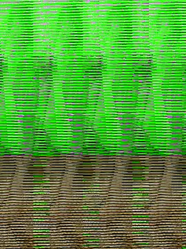 Snapshot of HimiJim chatting on November 2025 11:42:02 AM HimiJim online show from November 2025 11:42:02 AM