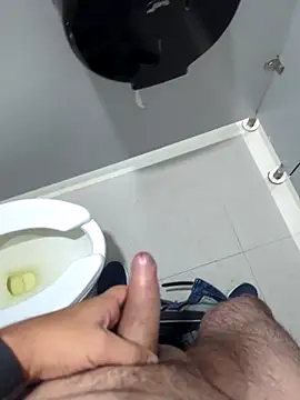 Snapshot of publicsir chatting on December 2025 06:05:01 PM publicsir online show from December 2025 06:05:01 PM