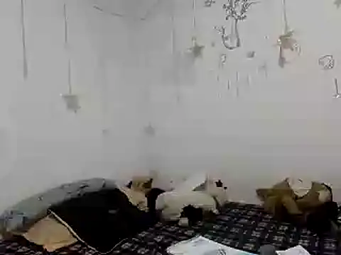 Snapshot of Nissha_johosonn chatting on December 2024 01:04:01 AM Nissha johosonn online show from December 2024 01:04:01 AM