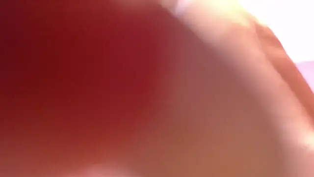 alana storm62 online show from November 2025 05:34:02 PM