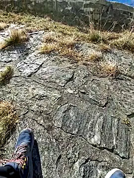 Snapshot of tony7567 chatting on November 2025 12:51:01 PM tony7567 online show from November 2025 12:51:01 PM