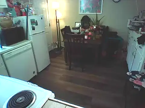 Big-Tits-McGee online show from February 2025 06:10:02 PM