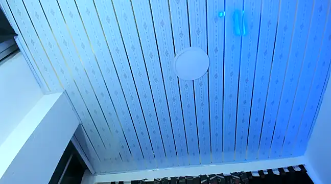 nova sex01 online show from December 2024 03:59:02 AM