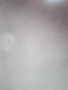 Snapshot of _violetta_- chatting on October 2025 12:59:01 PM violetta - online show from October 2025 12:59:01 PM