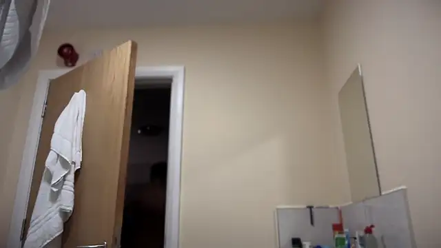 Snapshot of TowaFreespirit chatting on February 2025 12:10:02 AM TowaFreespirit online show from February 2025 12:10:02 AM