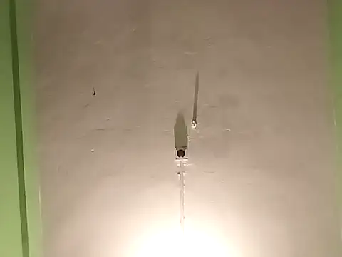 Snapshot of RADHAHO chatting on November 2025 05:34:01 PM RADHAHO online show from November 2025 05:34:01 PM