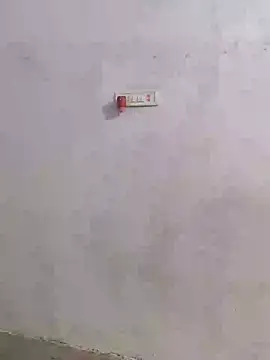 Ramya-Lovely online show from December 2024 04:09:02 AM