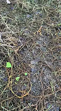 tamil000000 online show from March 2025 01:38:02 AM