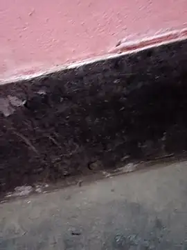 ScopalOr online show from February 2025 07:40:01 AM