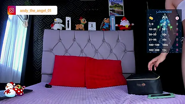 andy angell1 online show from December 2024 01:00:02 PM