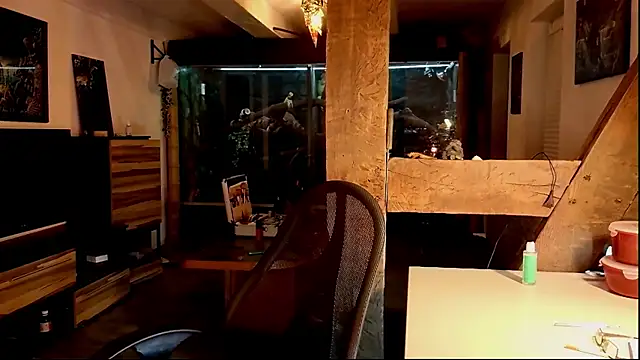 Snapshot of DYasmin69 chatting on November 2025 08:55:01 PM DYasmin69 online show from November 2025 08:55:01 PM