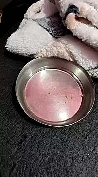 Snapshot of Whitehouse01 chatting on January 2025 02:42:02 PM Whitehouse01 online show from January 2025 02:42:02 PM