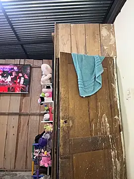 Snapshot of kanper chatting on November 2025 01:04:01 PM kanper online show from November 2025 01:04:01 PM