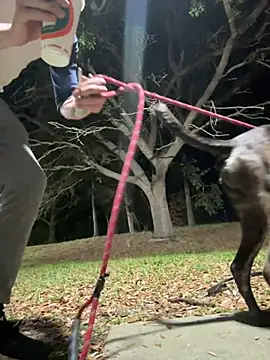 Snapshot of sexyhotstud12 chatting on February 2025 04:26:02 AM sexyhotstud12 online show from February 2025 04:26:02 AM