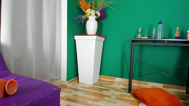 Snapshot of evaa_greey chatting on March 2025 02:28:02 AM evaa greey online show from March 2025 02:28:02 AM