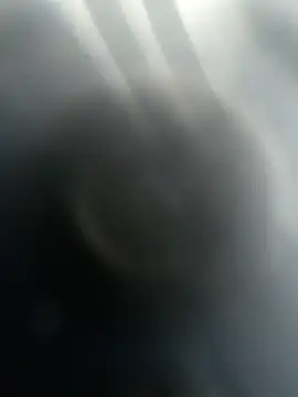 Snapshot of Gotabodiee chatting on November 2025 12:59:02 PM Gotabodiee online show from November 2025 12:59:02 PM