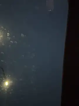 Eriksson00 online show from December 2025 07:48:01 AM