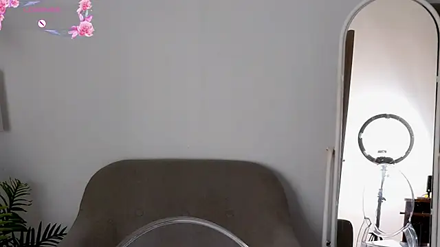 Funnyy  bunny online show from September 2025 12:26:01 PM