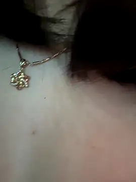 Snapshot of Link_lee chatting on November 2025 01:41:02 AM Link lee online show from November 2025 01:41:02 AM