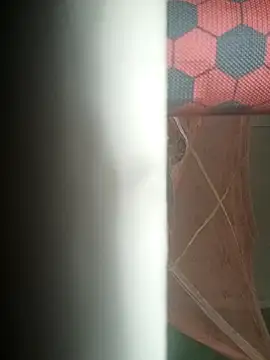 Snapshot of sobit1234 chatting on December 2025 10:49:02 PM sobit1234 online show from December 2025 10:49:02 PM