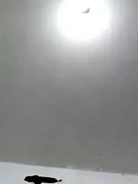 Ferdp online show from December 2025 06:49:02 PM