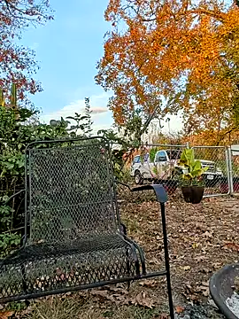 Snapshot of sizableunicorn7 chatting on November 2025 10:32:02 PM sizableunicorn7 online show from November 2025 10:32:02 PM