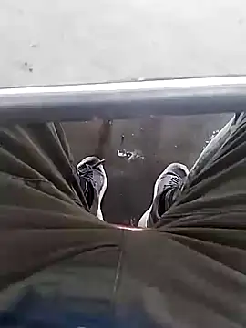 Snapshot of Aliyeni1 chatting on December 2025 09:25:01 AM Aliyeni1 online show from December 2025 09:25:01 AM