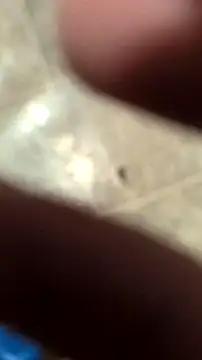 Snapshot of DecimalPoint222InchCock chatting on November 2025 11:15:02 PM DecimalPoint222InchCock online show from November 2025 11:15:02 PM