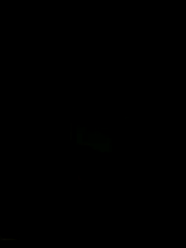 Snapshot of serxxx1287 chatting on December 2025 09:09:01 PM serxxx1287 online show from December 2025 09:09:01 PM