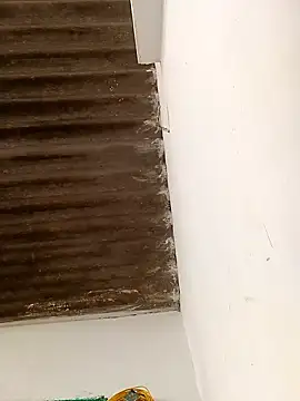 Sapna9685 online show from November 2025 09:06:02 AM