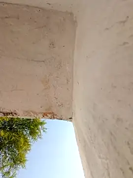 Sapna9685 online show from December 2025 07:36:01 AM