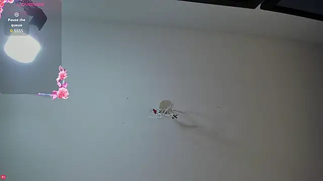 Ashleymorgan vc online show from September 2025 08:21:02 PM