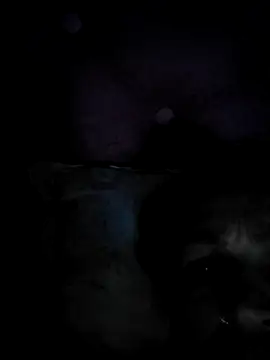 Malditobandido online show from September 2025 04:40:02 AM