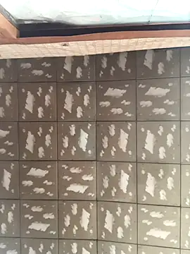 Snapshot of pualldu chatting on November 2025 03:06:01 AM pualldu online show from November 2025 03:06:01 AM