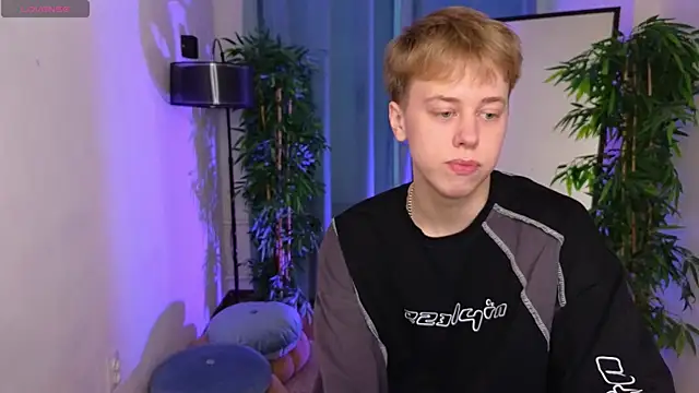 bee boy  online show from September 2025 02:20:01 PM