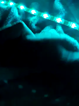 Snapshot of northboy91 chatting on October 2025 09:21:01 PM northboy91 online show from October 2025 09:21:01 PM