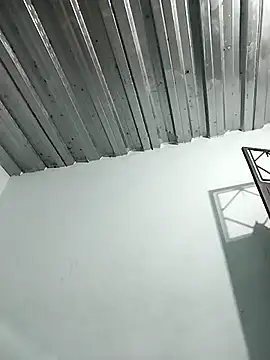 Snapshot of Dani156y chatting on October 2025 07:54:02 AM Dani156y online show from October 2025 07:54:02 AM