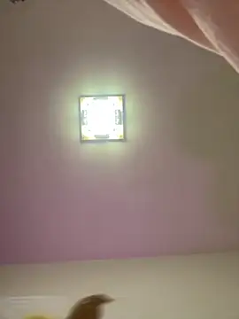 Snapshot of taotaobo chatting on December 2025 02:21:01 PM taotaobo online show from December 2025 02:21:01 PM